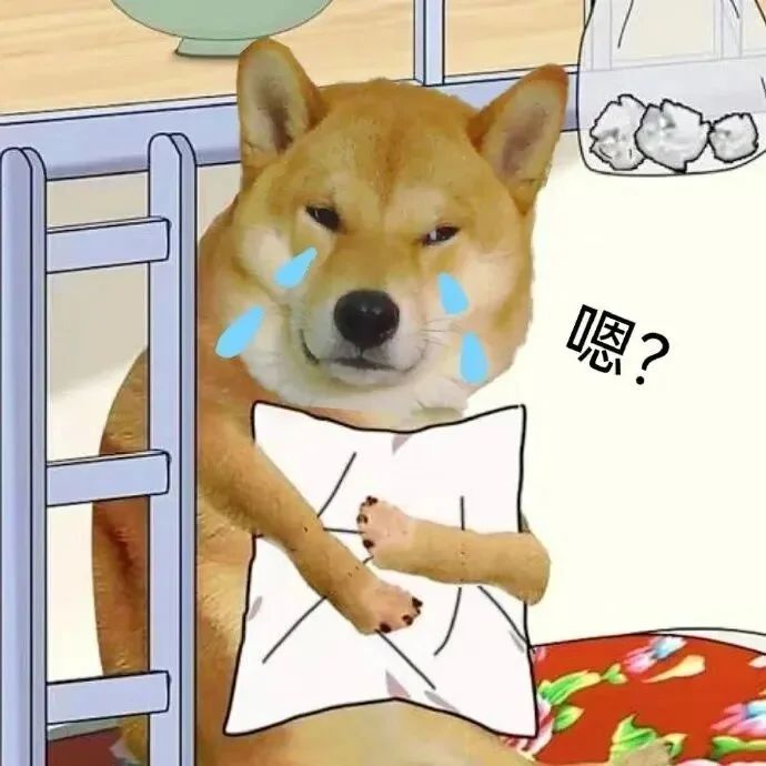 《还在为毛孩子的“大事”发愁？》