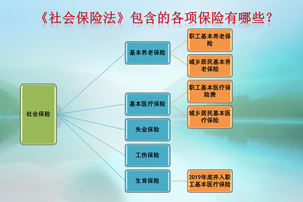 五险是哪五种保险