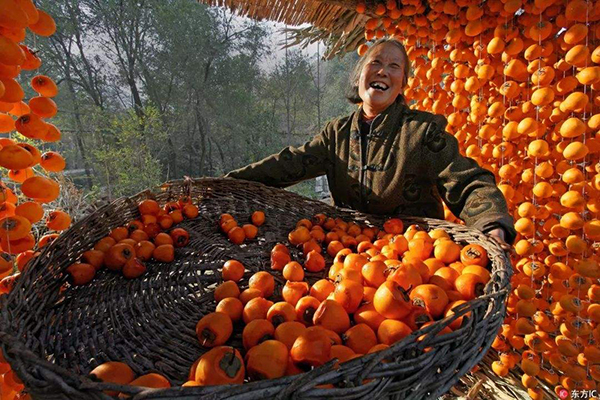 两不愁三保障