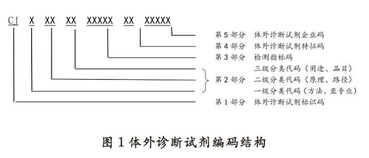 医保体外诊断试剂编码规则和方法