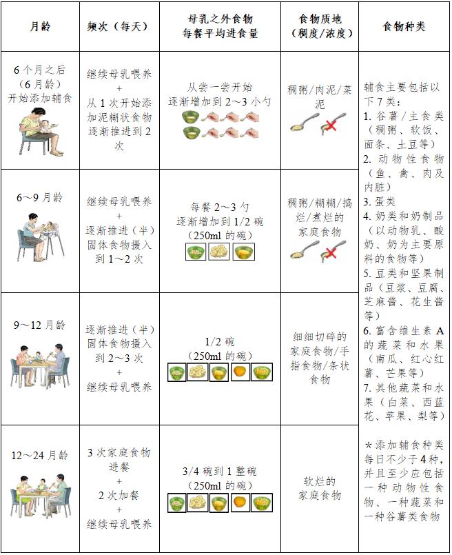 6～24月龄婴幼儿辅食添加要点