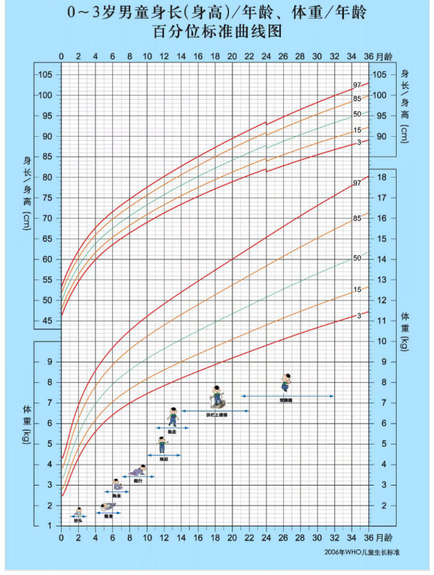 0～3岁儿童生长发育监测图-男生