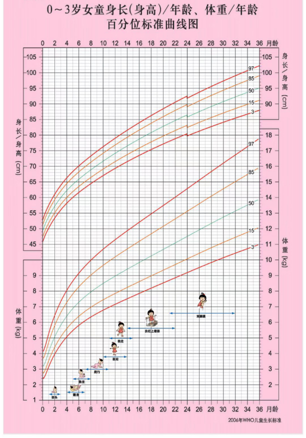 0～3岁儿童生长发育监测图-女生